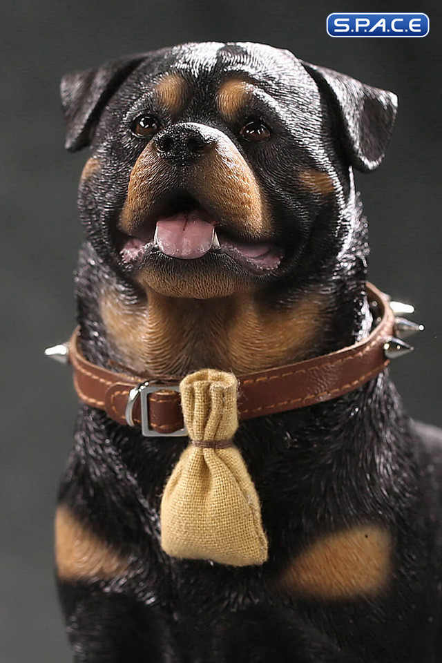 1/6 Scale Rottweiler 2.0 (black/dark brown)