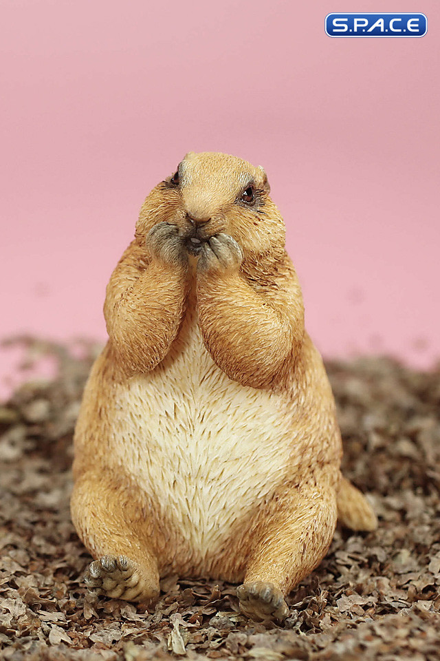 1/6 Scale Marmota Version C