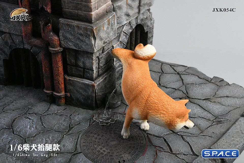 1/6 Scale Shiba Inu leg lift (brown)