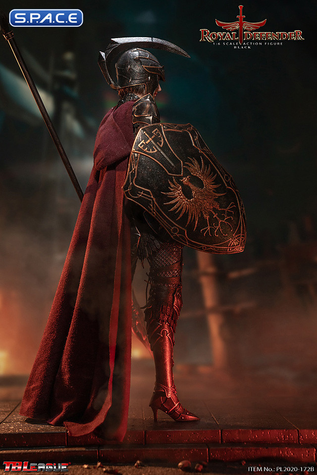 1/6 Scale Black Royal Defender