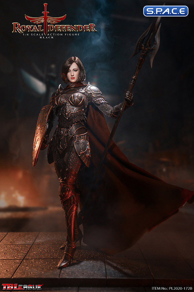 1/6 Scale Black Royal Defender