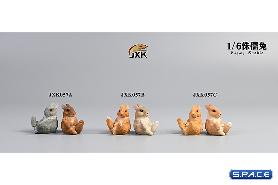 1/6 Scale Dwarf Rabbit Set B