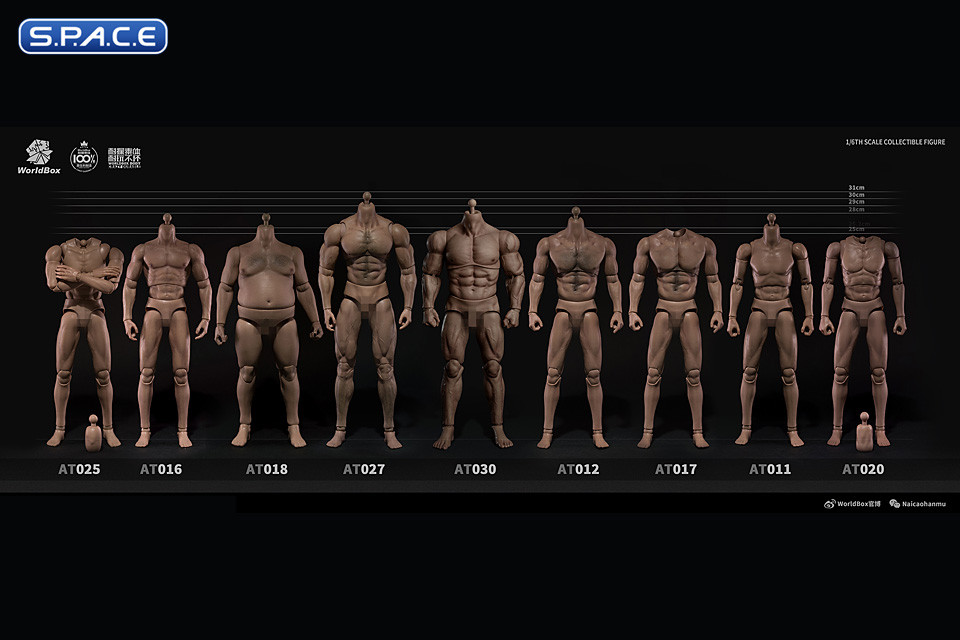 1/6 Scale Durable Male Body AT030
