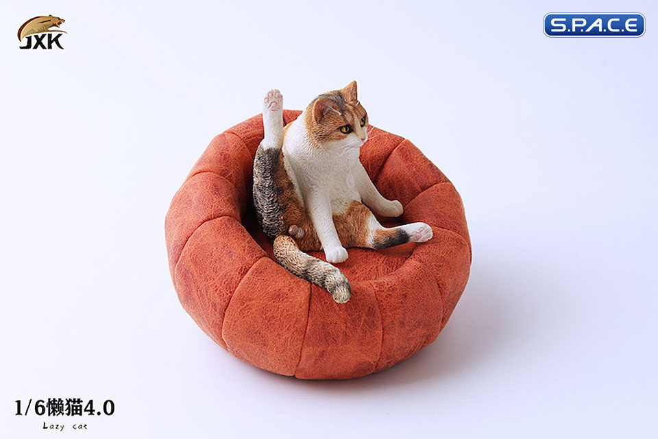 1/6 Scale lazy Cat (tricolor)