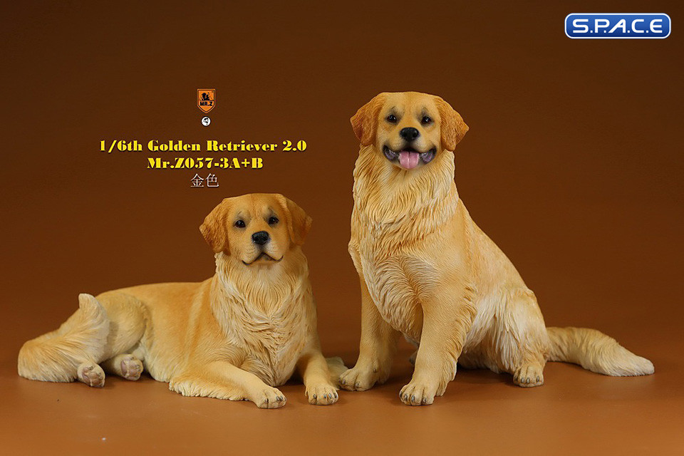 1/6 Scale sitting Golden Retriever Version 3B