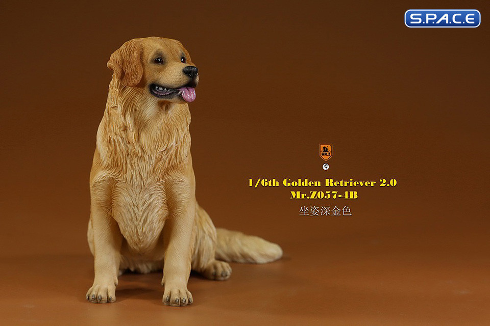 1/6 Scale sitting Golden Retriever Version 4B