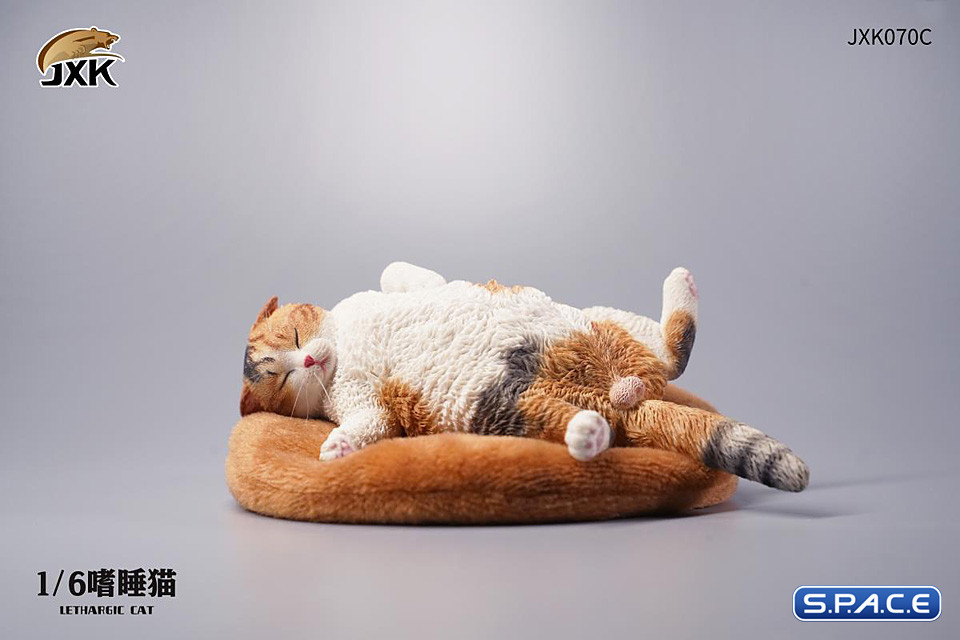 1/6 Scale lethargic Cat (white/brown/black)