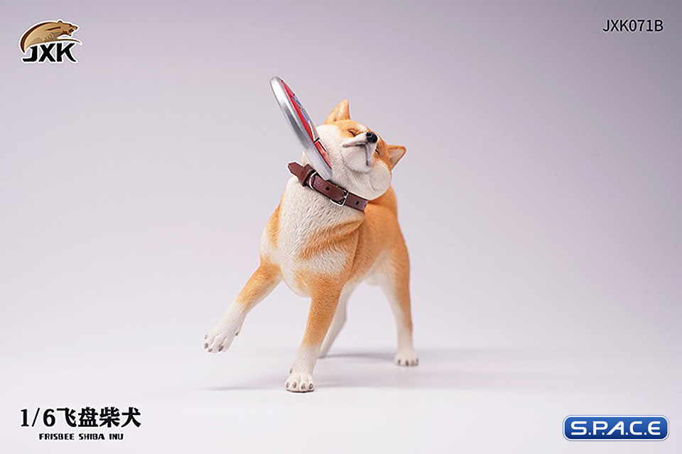 1/6 Scale Shiba Inu with frisbee (red)