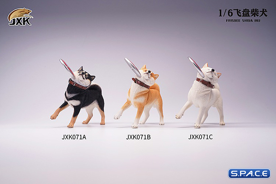 1/6 Scale Shiba Inu with frisbee (white)