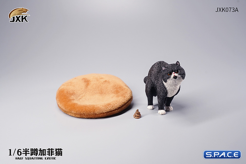 1/6 Scale half squatting Exotic Shorthair Cat (black)