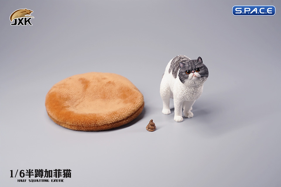 1/6 Scale half squatting Exotic Shorthair Cat (grey/white)