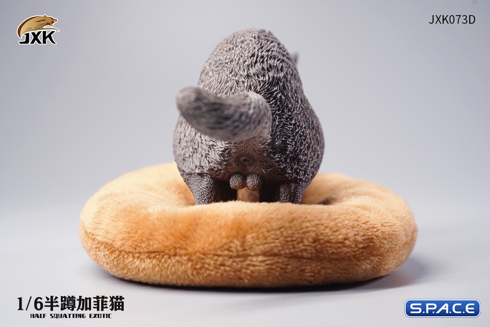 1/6 Scale half squatting Exotic Shorthair Cat (grey)