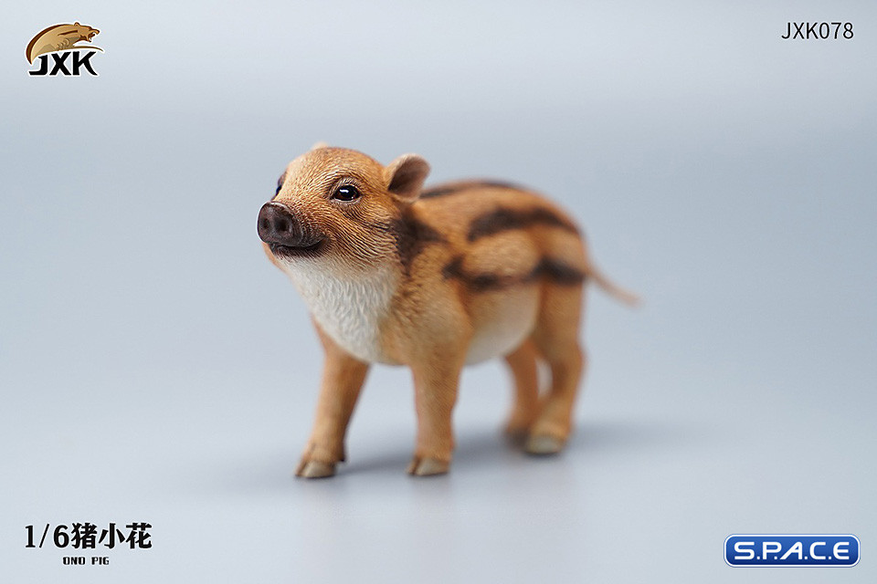 1/6 Scale Ono Pig