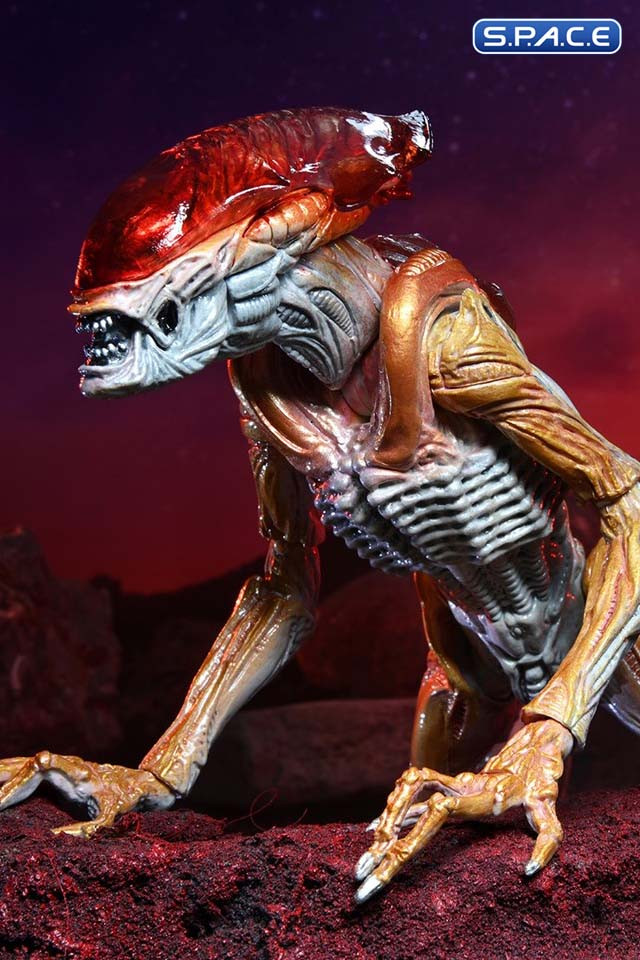Ultimate Panther Alien Kenner Tribute (Aliens)