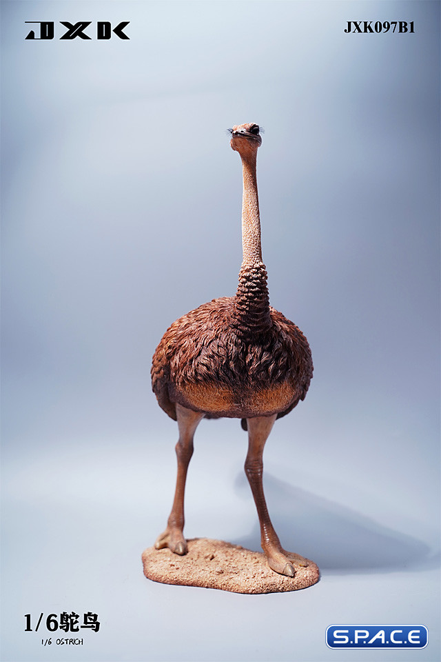 1/6 Scale Ostrich (brown)