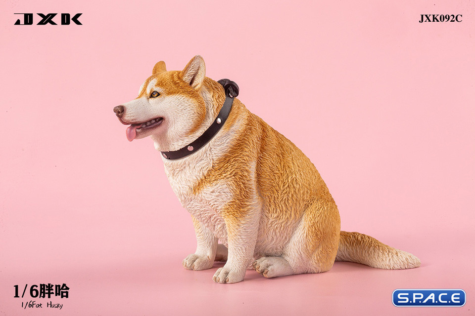 1/6 Scale fat Husky (brown)