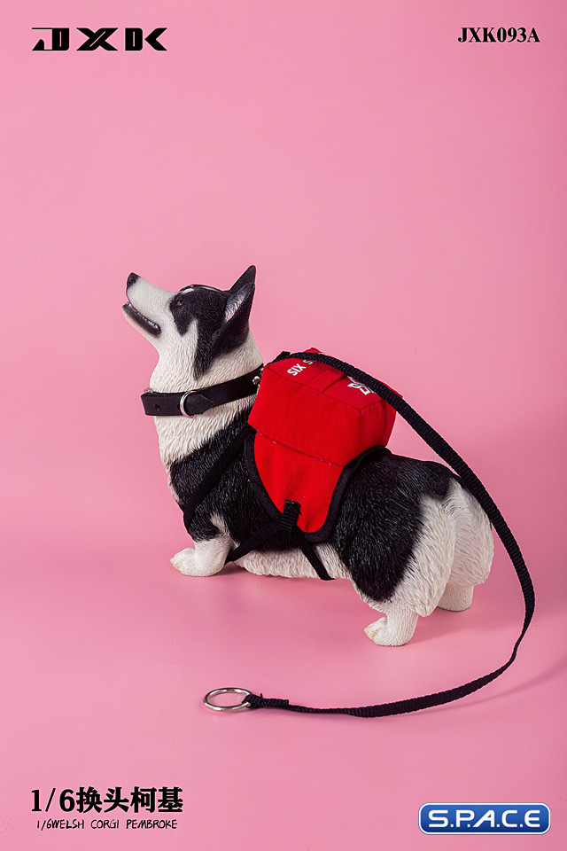 1/6 Scale Welsh Corgi Pembroke (black)