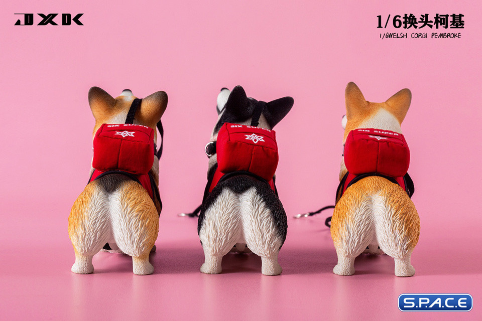 1/6 Scale Welsh Corgi Pembroke (black)