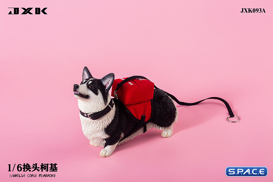 1/6 Scale Welsh Corgi Pembroke (black)