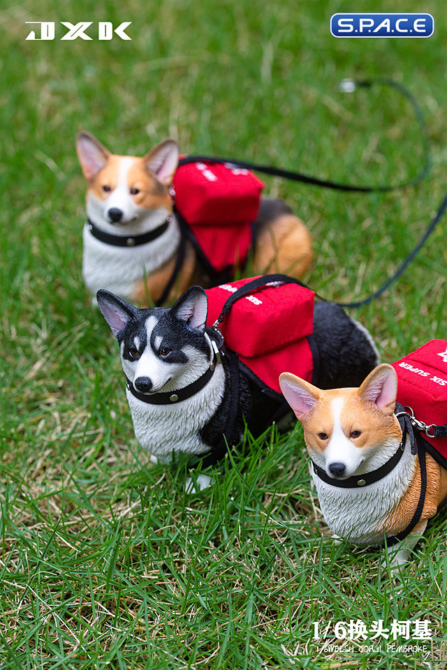 1/6 Scale Welsh Corgi Pembroke (brown/black)