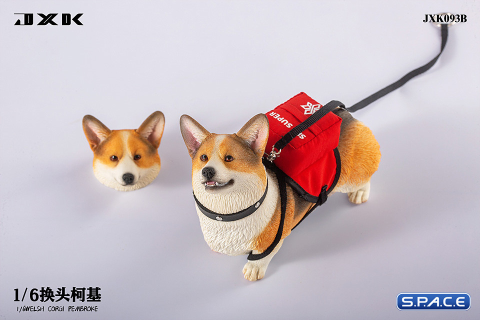 1/6 Scale Welsh Corgi Pembroke (brown/black)