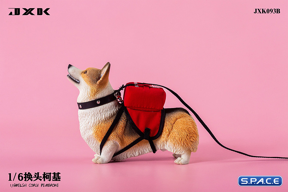 1/6 Scale Welsh Corgi Pembroke (brown/black)