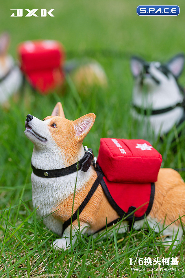 1/6 Scale Welsh Corgi Pembroke (brown)