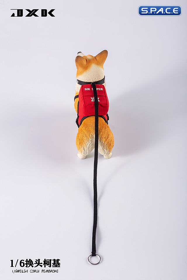 1/6 Scale Welsh Corgi Pembroke (brown)