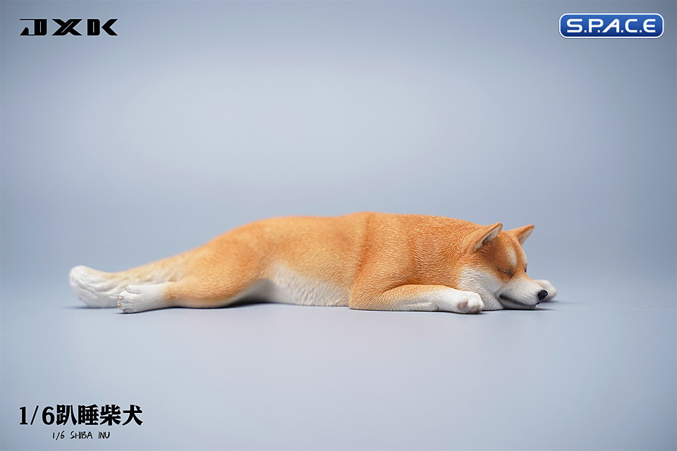 1/6 Scale sleeping Shiba Inu Set (brown)