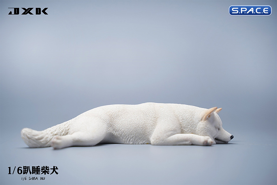 1/6 Scale sleeping Shiba Inu Set (white)