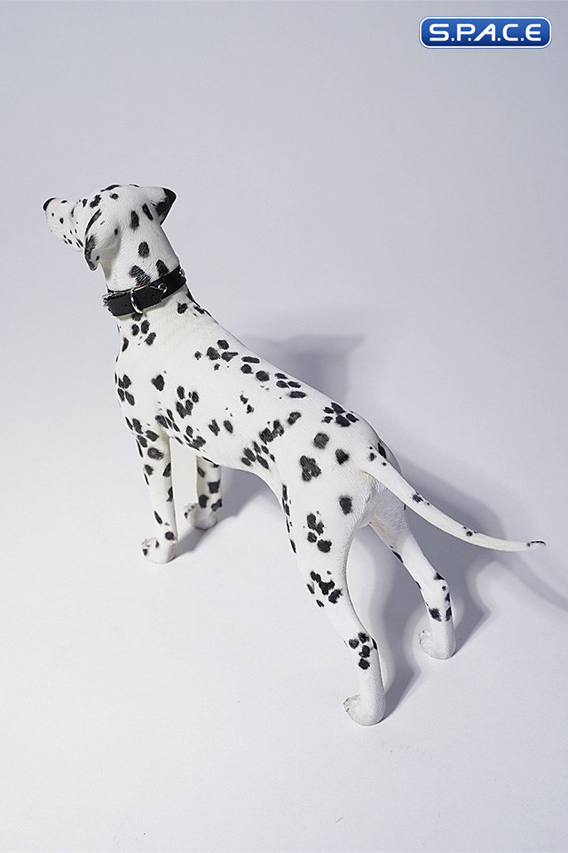 1/6 Scale Dalmatian