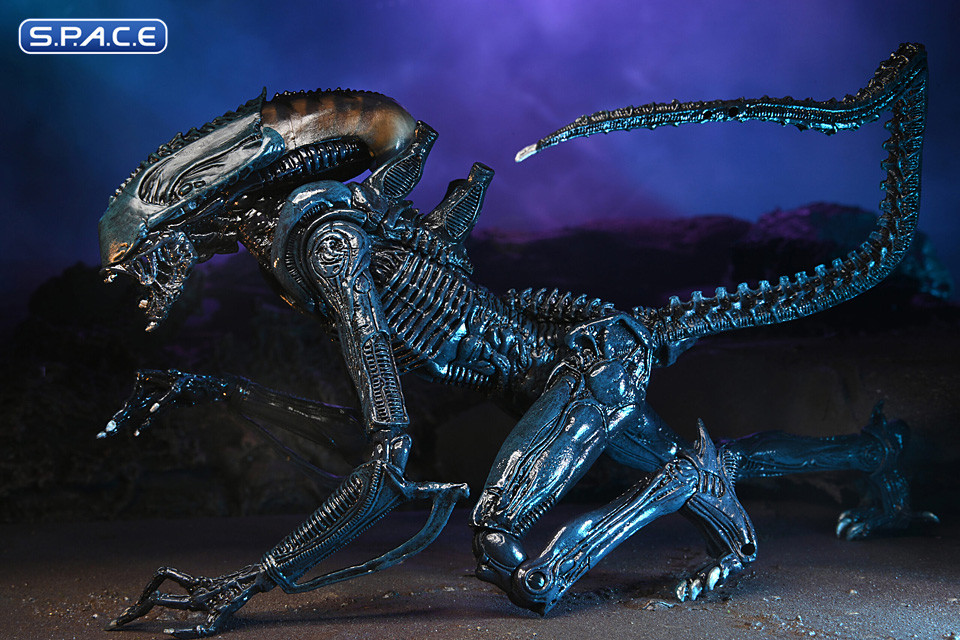 3er Komplettsatz: Alien vs. Predator Movie Deco Serie 1 (Alien vs. Predator)