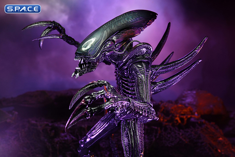 Set of 2: Alien vs. Predator Movie Deco Series 1 (Alien vs. Predator)