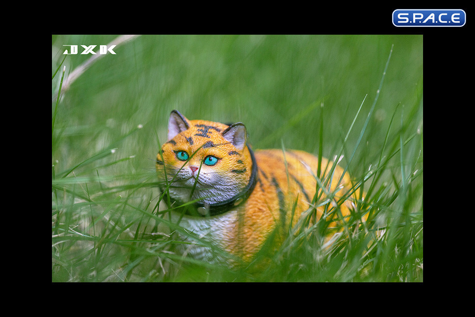 1/6 Scale Fat Cat - The year of the tiger