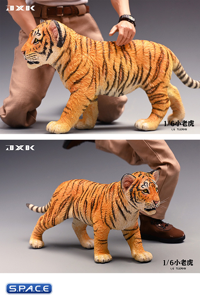 1/6 Scale Tigerkin