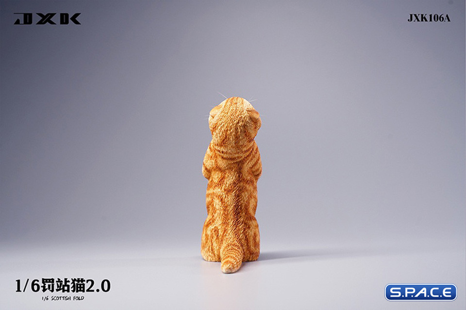 1/6 Scale Scottish Fold (red)