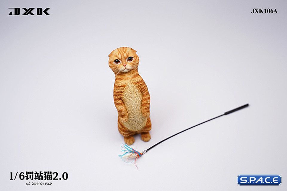 1/6 Scale Scottish Fold (red)