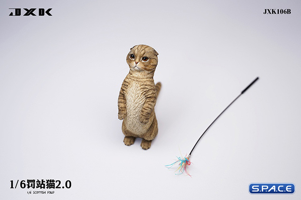 1/6 Scale Scottish Fold (brown)