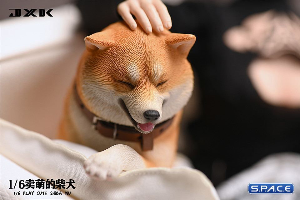 1/6 Scale Play Cute Shiba Inu (white/brown)