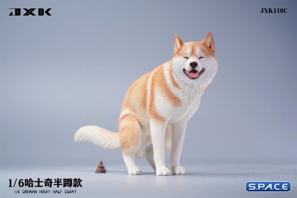 1/6 Scale Siberian Husky Half Squat (red)