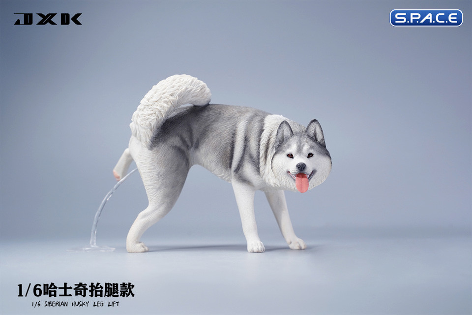 1/6 Scale Siberian Husky Leg Lift (grey)