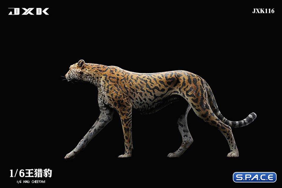 1/6 Scale King Cheetha