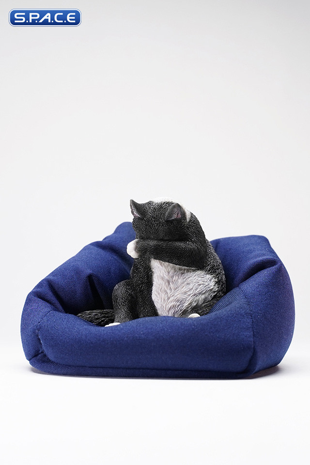 1/6 Scale Lazy Cat 6.0 (black)