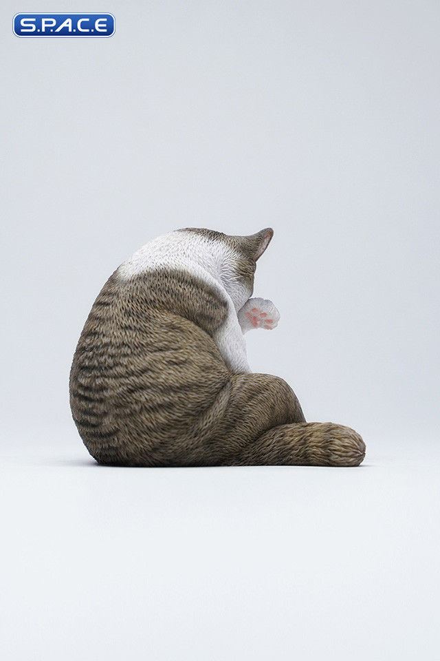 1/6 Scale Lazy Cat 6.0 (brown)