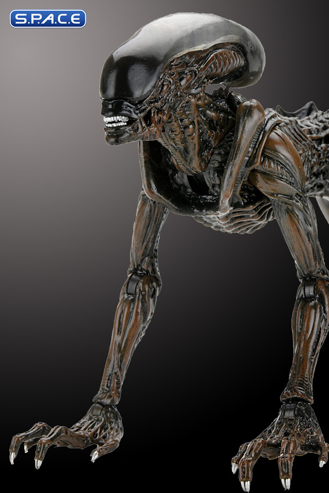 2er Komplettsatz: Aliens: Fireteam Elite Serie 1 (Aliens: Fireteam Elite)