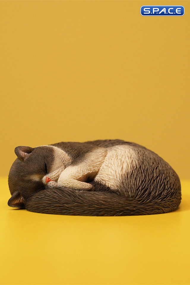 1/6 Scale sleeping Cat (grey)