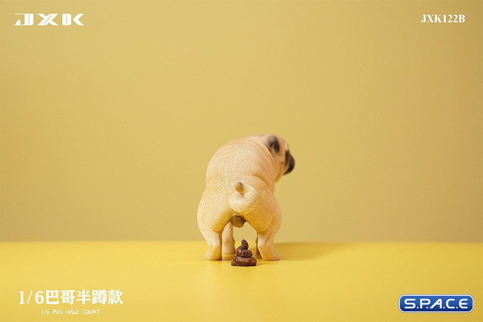 1/6 Scale half squatting Pug (white)
