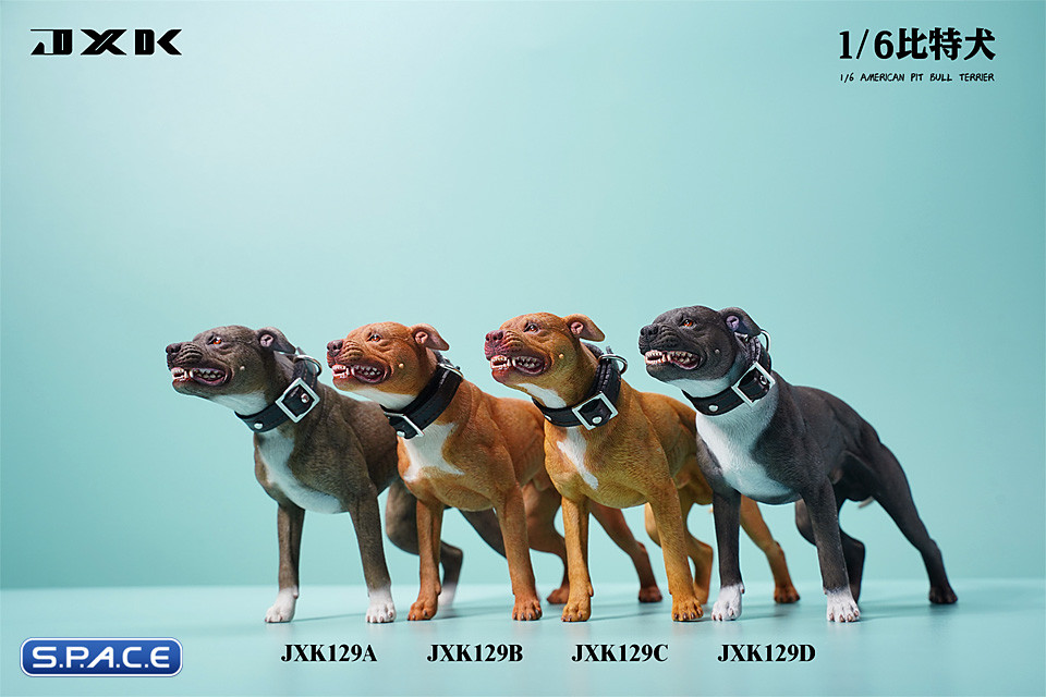 1/6 Scale American Pit Bull Terrier (black)