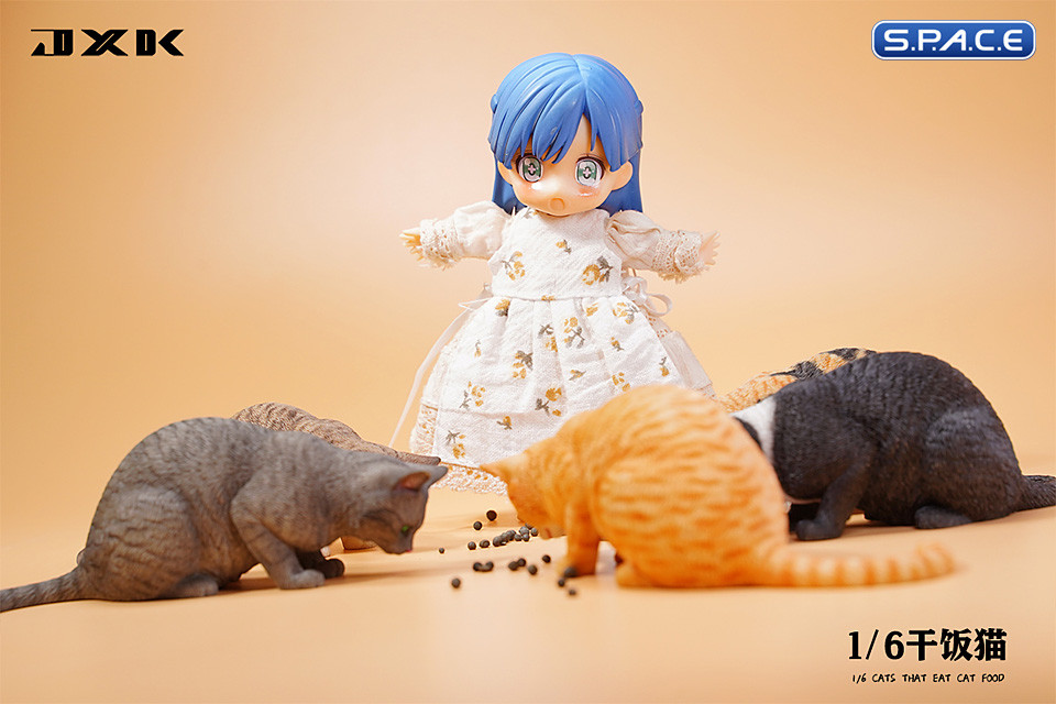 1/6 Scale eating Cat Version B (brown)