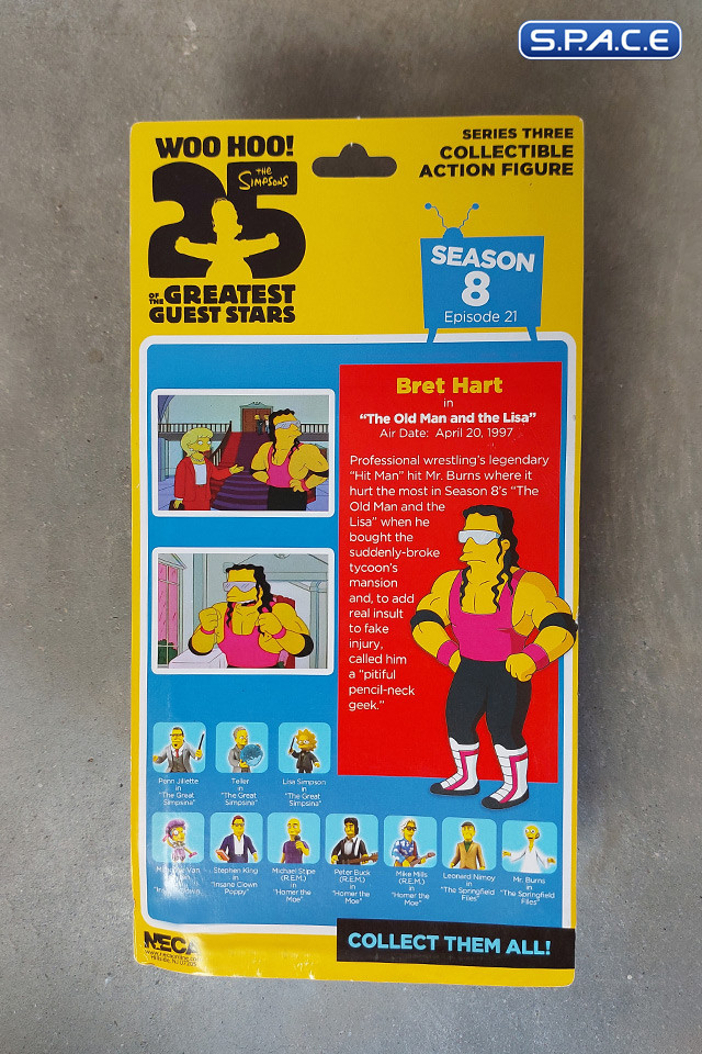 Bret Hart - The Simpsons 25th Anniversary of the Greatest Guest Stars (The Simpsons)